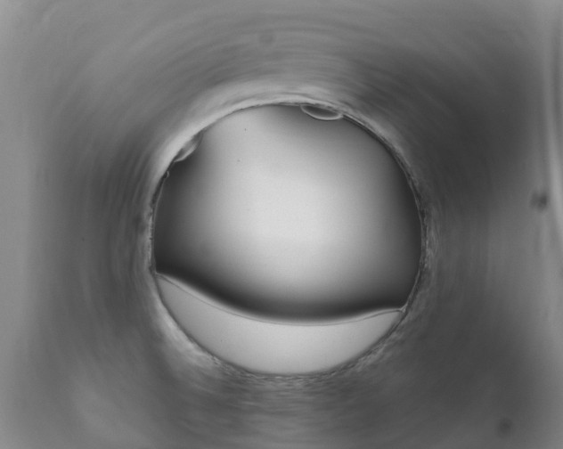 X0000112361524200908201451
