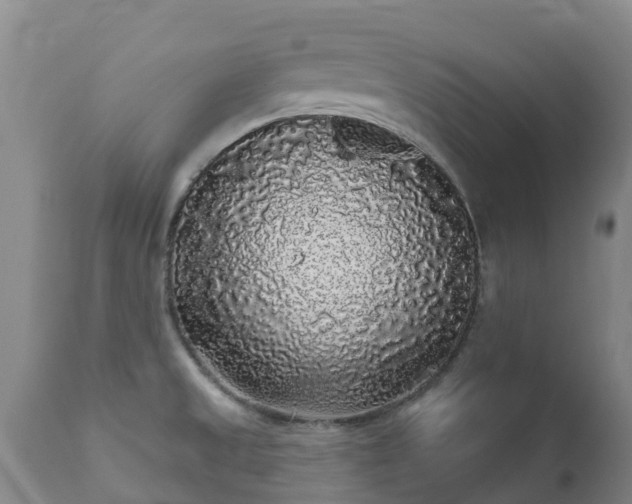 X0000112361525200908201451