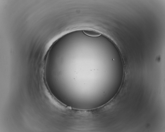 X0000112361526200908201451