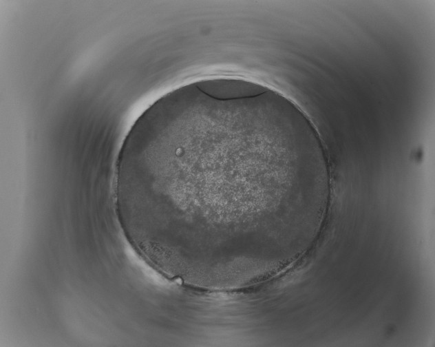 X0000112361527200908201451