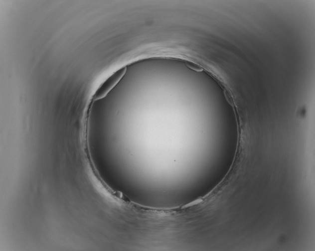X0000112361528200908201451