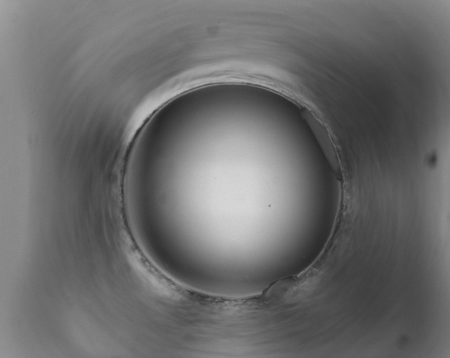 X0000112361530200908201451