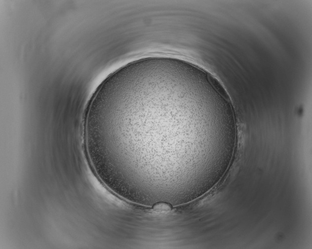 X0000112361531200908201451
