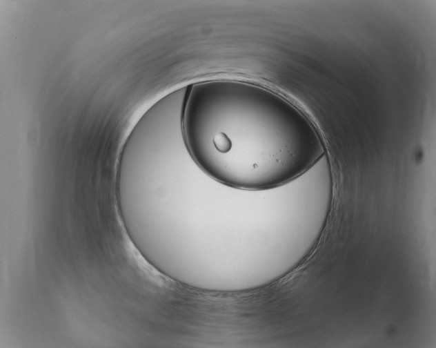 X0000112361532200908201451