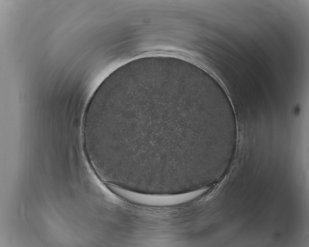 X0000112361533200908201451