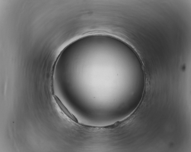X0000112361534200908201451
