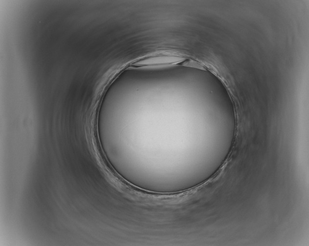 X0000112360001200908271302