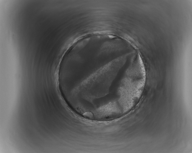 X0000112360002200908271302