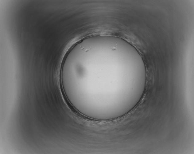 X0000112360003200908271302