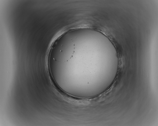 X0000112360004200908271302