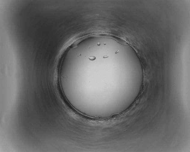 X0000112360005200908271302