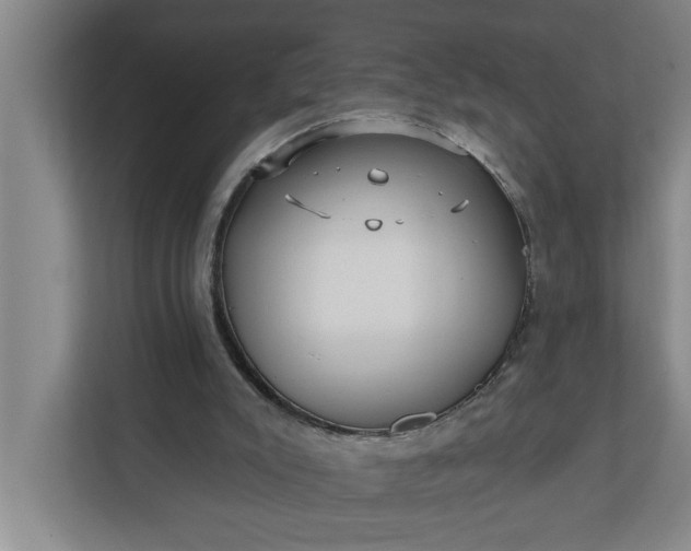 X0000112360007200908271302