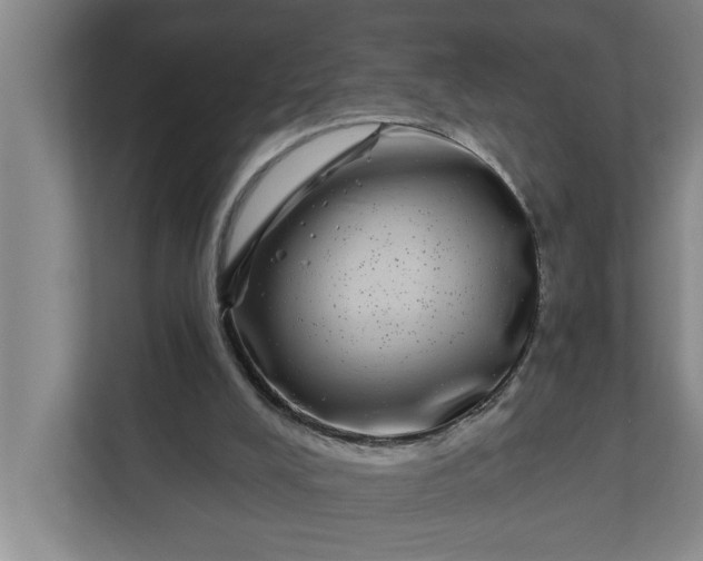 X0000112360008200908271302