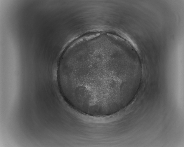 X0000112360010200908271302