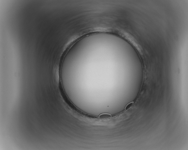 X0000112360011200908271302