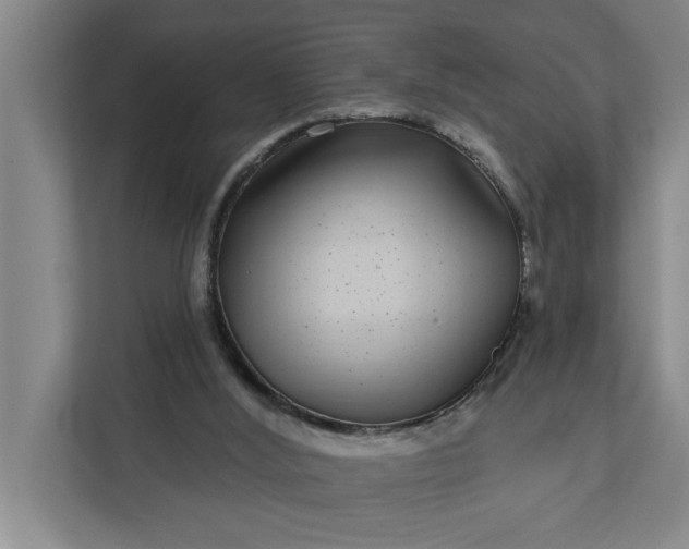 X0000112360012200908271302