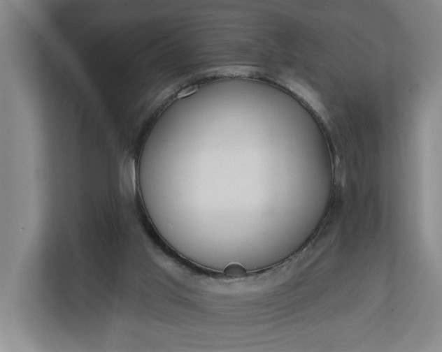 X0000112360013200908271302