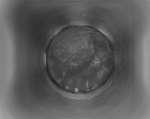 X0000112360014200908271302