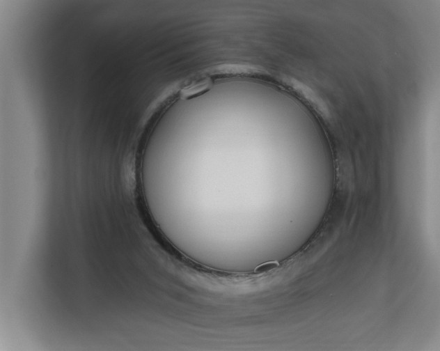 X0000112360015200908271302