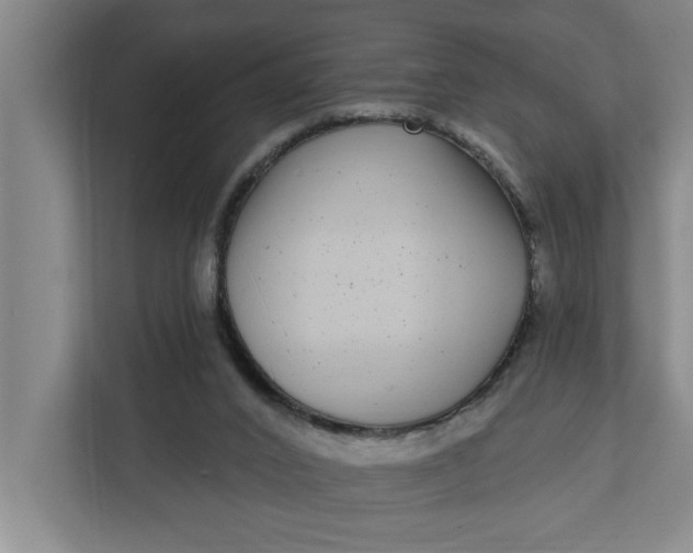 X0000112360016200908271302