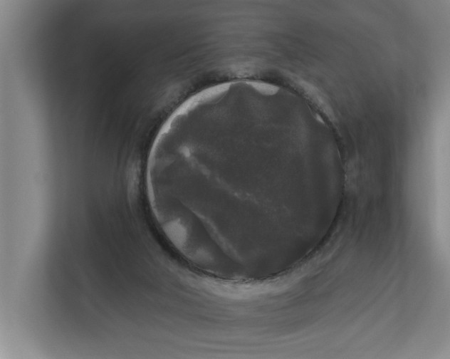 X0000112360018200908271302