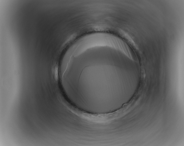 X0000112360019200908271302