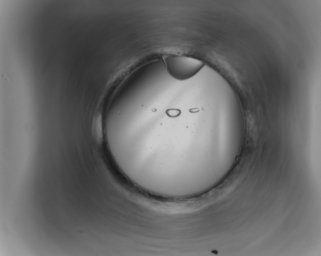 X0000112360020200908271302