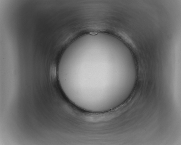 X0000112360021200908271302