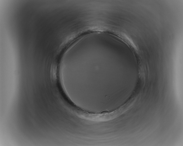 X0000112360023200908271302