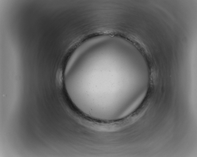 X0000112360024200908271302