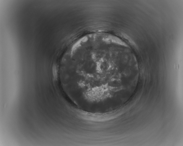 X0000112360026200908271302