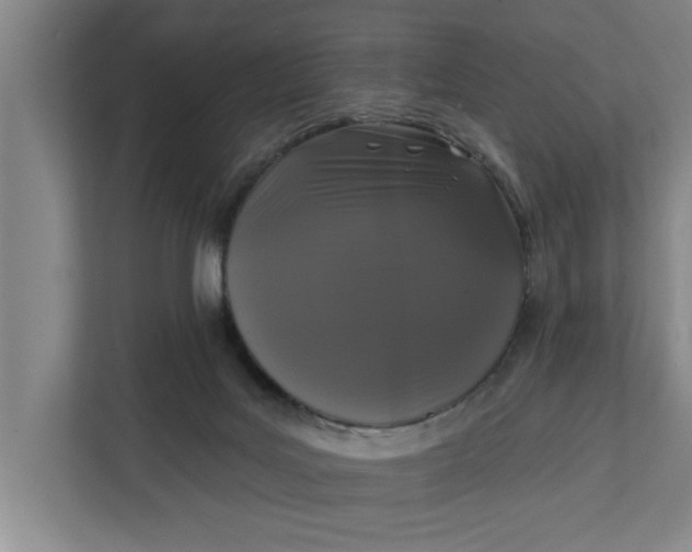 X0000112360027200908271302