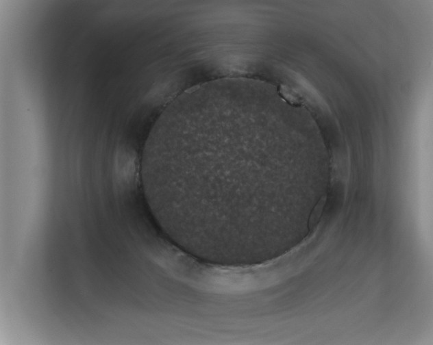 X0000112360029200908271302