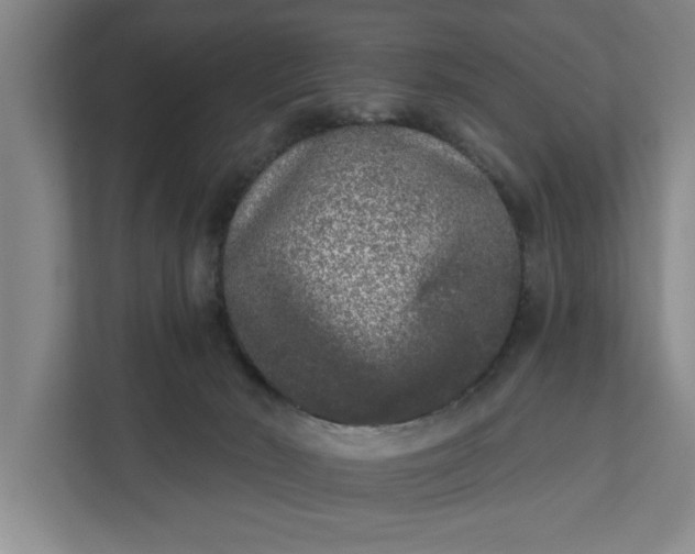 X0000112360030200908271302