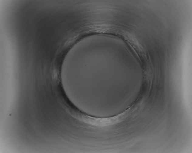 X0000112360031200908271302