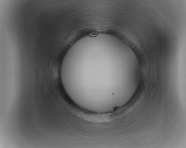 X0000112360032200908271302