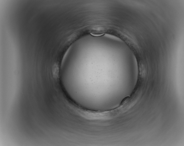 X0000112360036200908271302