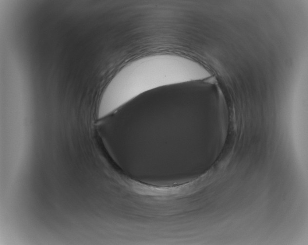 X0000112360039200908271302