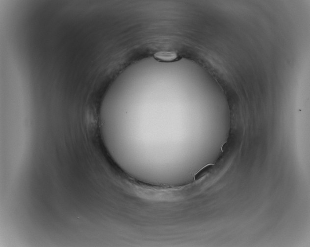 X0000112360040200908271302