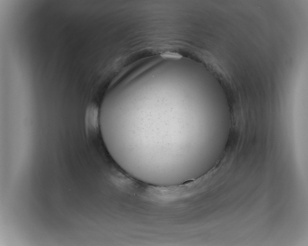 X0000112360041200908271302