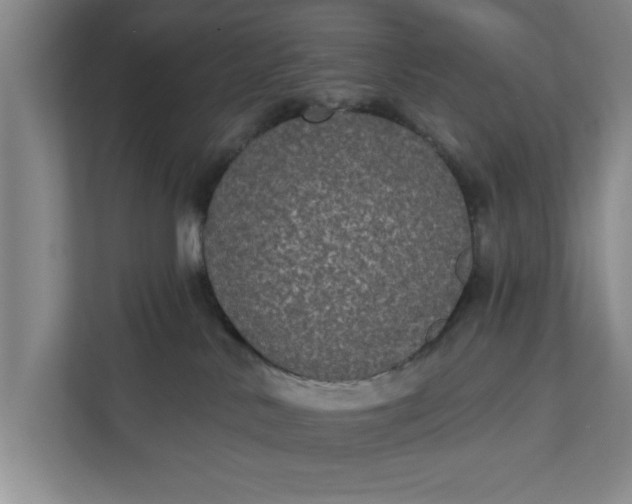 X0000112360042200908271302