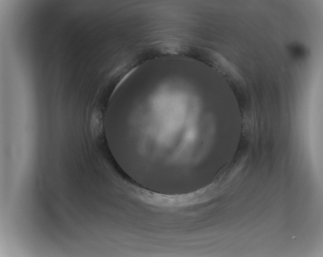 X0000112360043200908271302