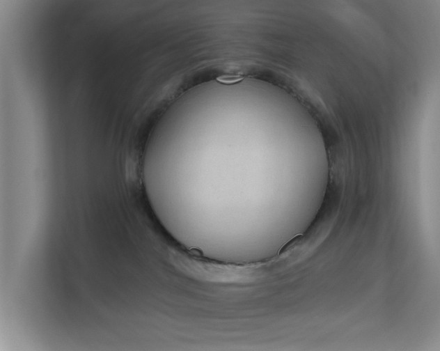 X0000112360044200908271302