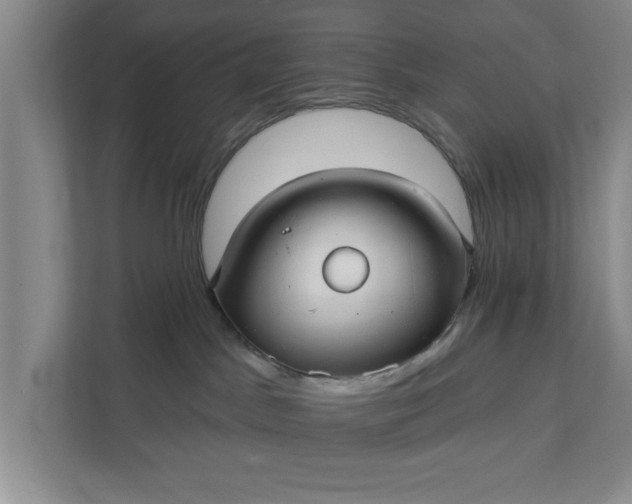 X0000112360045200908271302