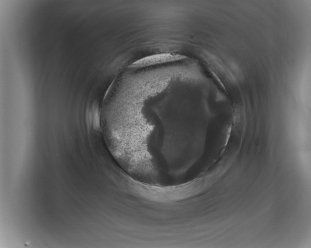 X0000112360046200908271302