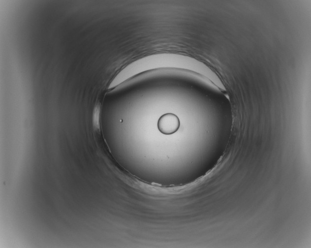 X0000112360047200908271302