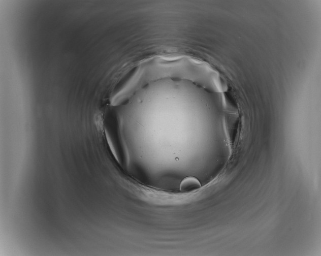 X0000112360048200908271302