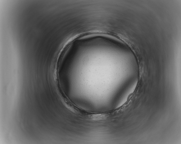 X0000112360050200908271301