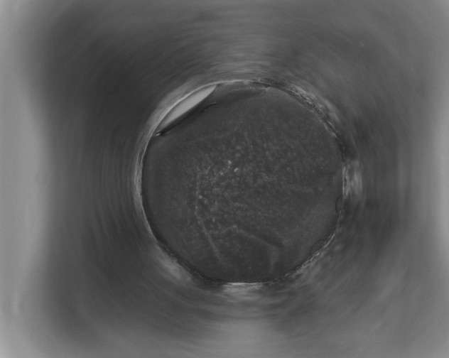 X0000112360051200908271301