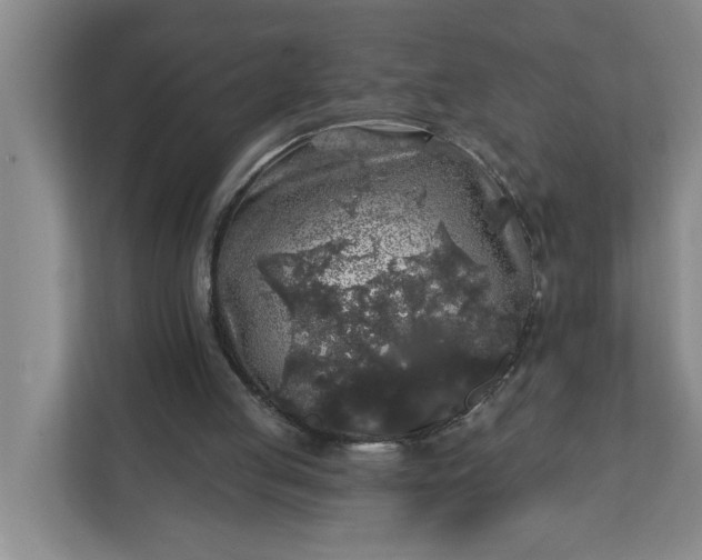 X0000112360053200908271301